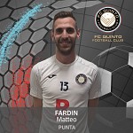 Fardin Fardin